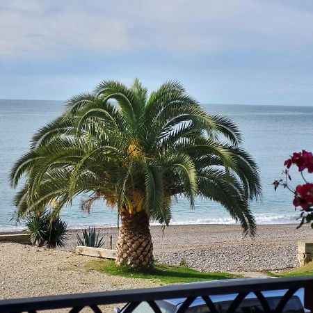 Arsaul Hotel New Athos Luaran gambar
