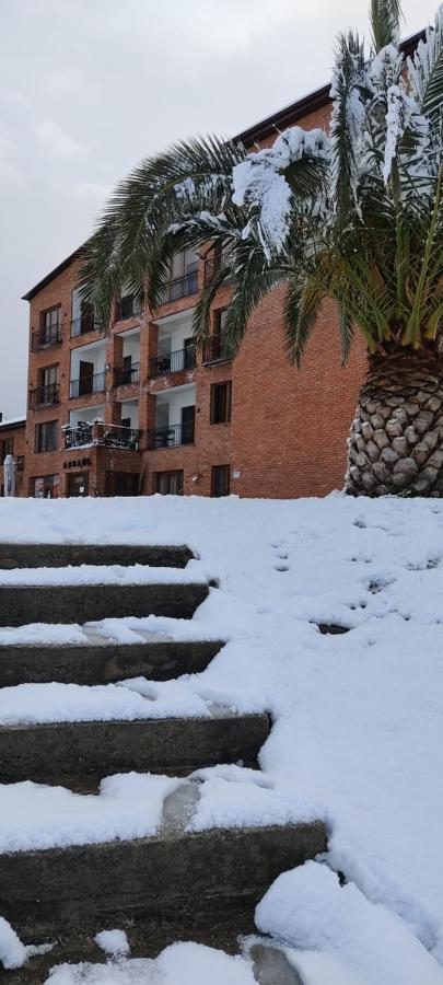 Arsaul Hotel New Athos Luaran gambar